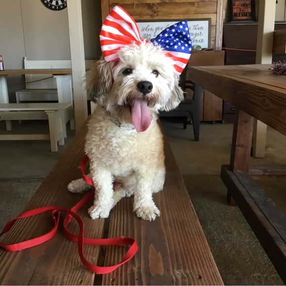 👜  Bijou’s Accessories!  🧳 - Picture 13 of 15